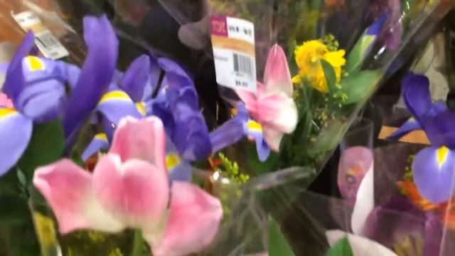 🌷Beautiful Spring Flowers Irises,tulips And Gerber Daisy🌷