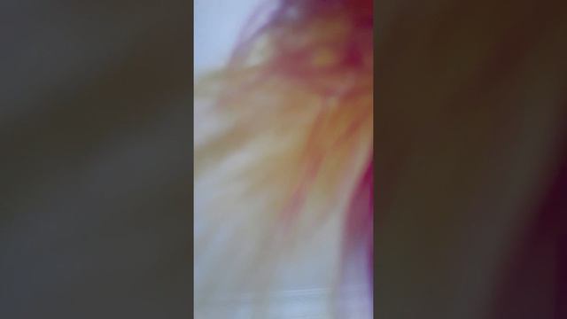 Манифест Свободной ВОЛИ смотреть онлайн