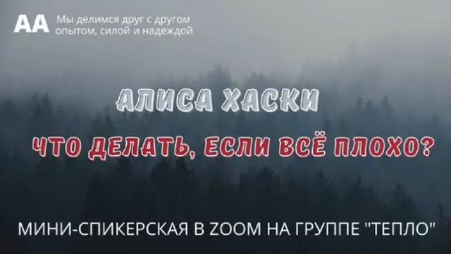 Что делать, если все плохо? Алиса Хаски. Мини-спикерское на группе "Тепло" смотреть онлайн