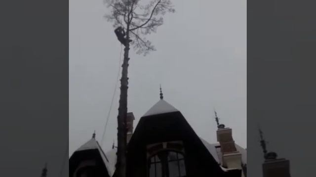 Альпинист пилит деревья смотреть онлайн