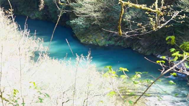 [Погнали] В лес по Ореховский водопад и дальше смотреть онлайн