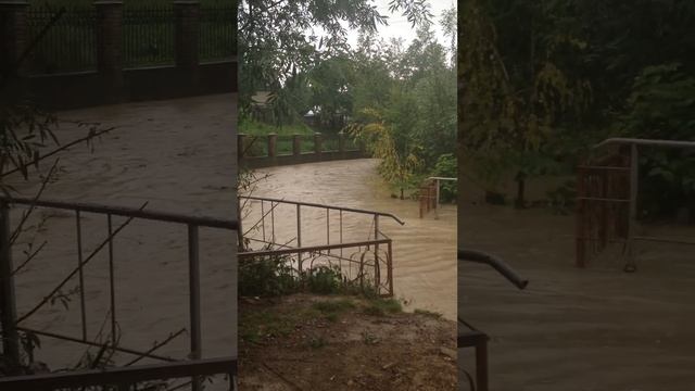 Нова Жучка, потоп ч2 (Садгора) смотреть онлайн