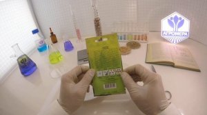 Полынь Горькая.  Евро Семена