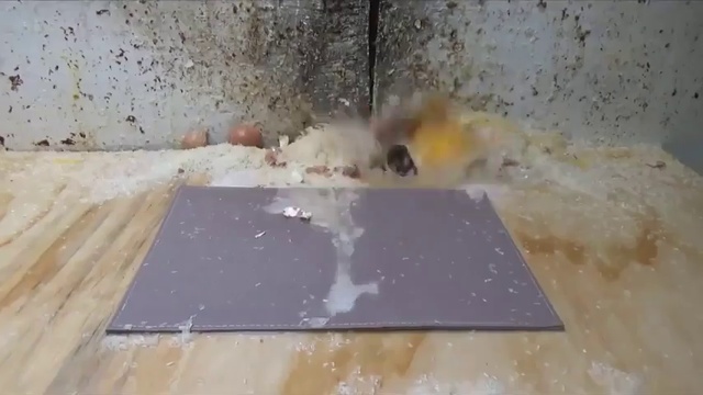 Что делать, если уронил в воду свой девайс смотреть онлайн