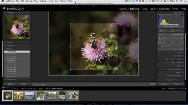 Cropping an Image in Photoshop Lightroom (2/19) смотреть онлайн