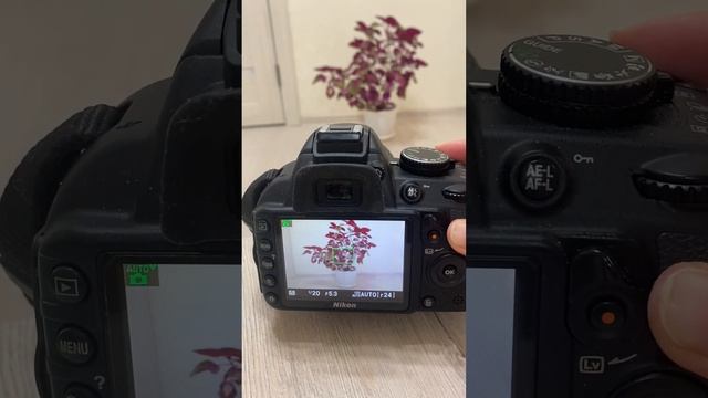 Nikon d3100 смотреть онлайн