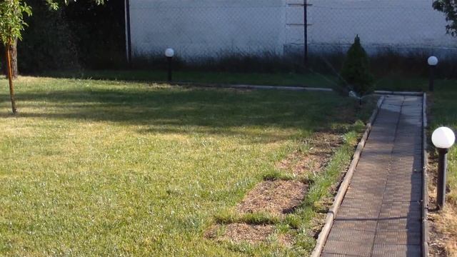 Сеем газонную траву  - Всё просто - часть 4