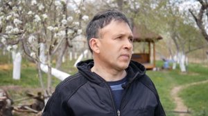 Как и когда сажать виноград весной - Срок посадки, Выбор саженцев, Уход за виноградом Выпуск №3