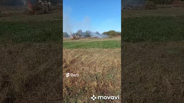 НАШ НОВЫЙ ОГОРОД. ОГОРОД НА КУБАНИ. shorts# смотреть онлайн