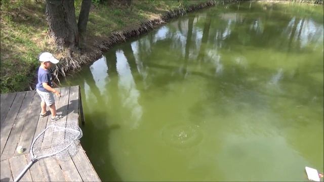 Комплекс відпочинку ВОДОГРАЙ Рожівка смотреть онлайн