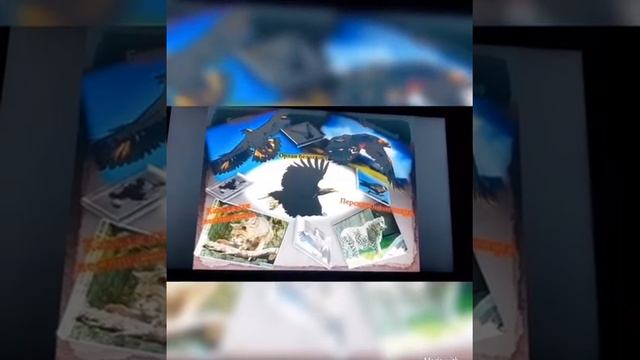 Фауна Чеченской Республики, состояние её изученности и стратегия охраны смотреть онлайн