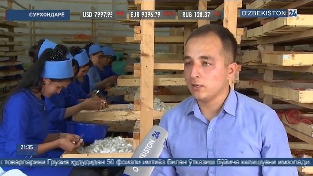 Пилла уруғларини етиштирувчи корхона маҳсулот бера бошлади смотреть онлайн