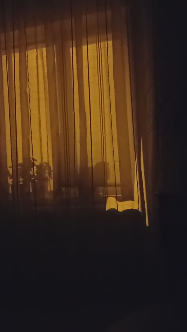 Неугомонный кот??? смотреть онлайн