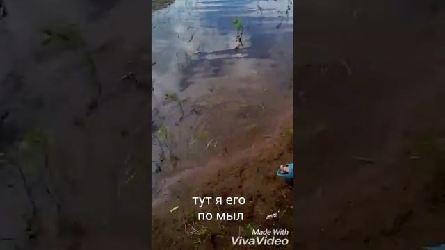 Как я поймал ужа смотреть онлайн