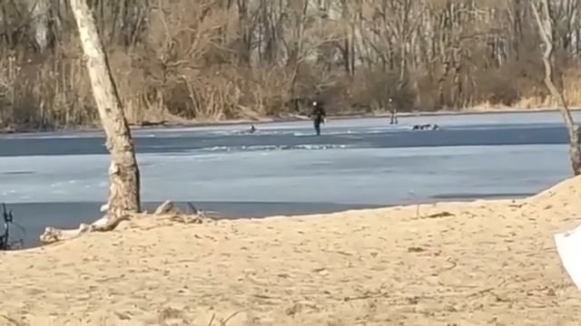 В Днепре на жилмассиве Покровский в воде нашли труп смотреть онлайн