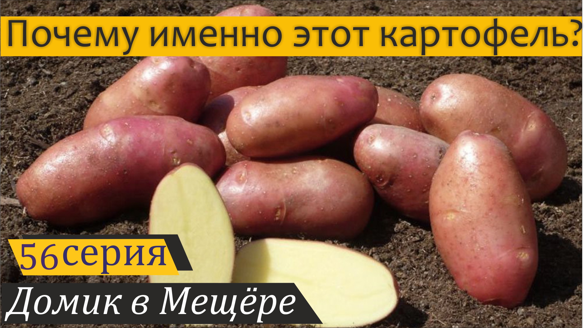 Семенной картофель и небольшое наводнение. Домик в Мещёре, серия 56 смотреть онлайн