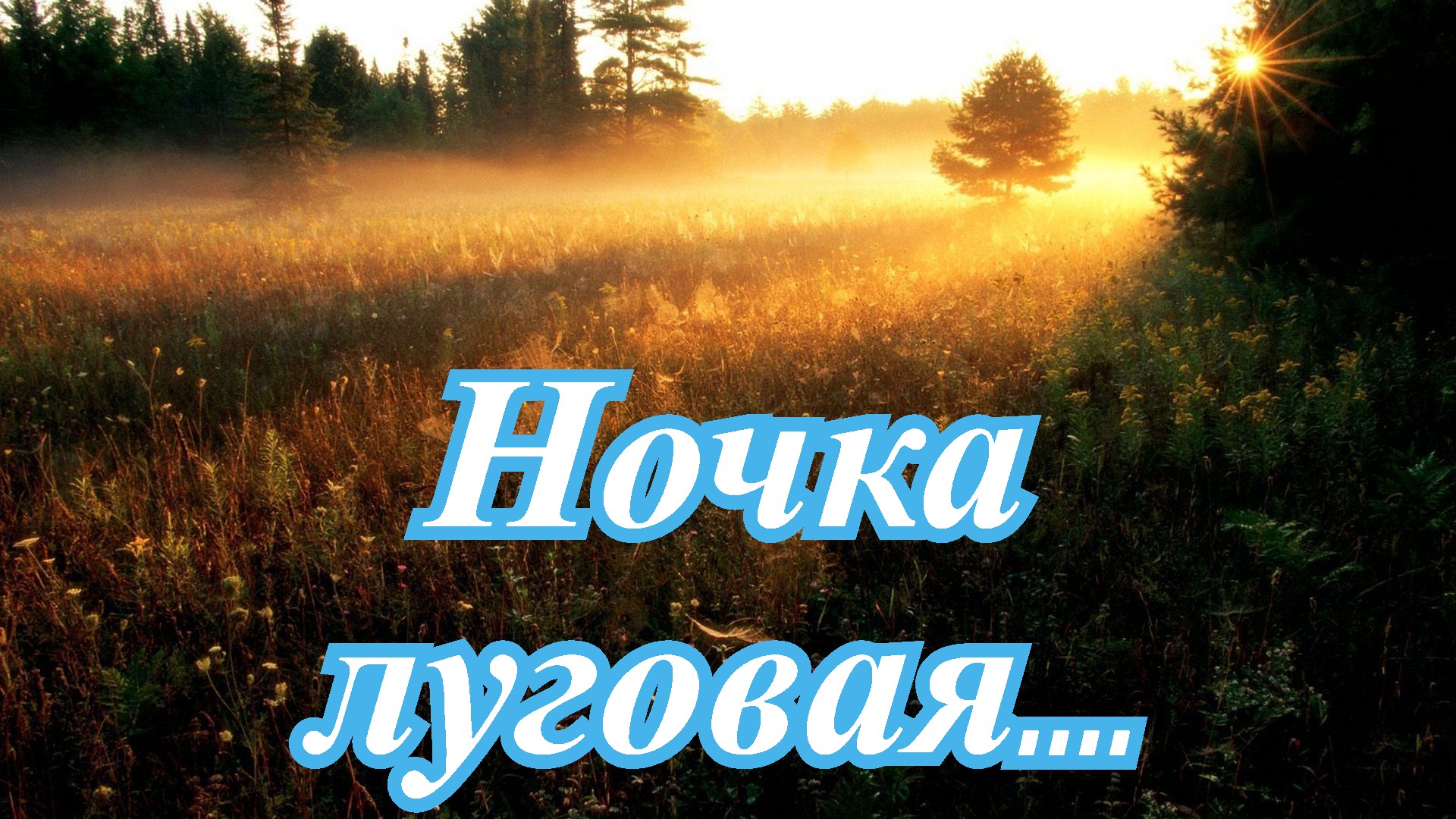 Ночка луговая - ВИА 'Яхонт'..mp4 смотреть онлайн