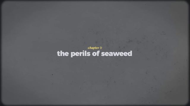 Can Seaweed Save the Planet? смотреть онлайн