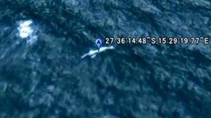 Реальные монстры! Снятые на камеру!