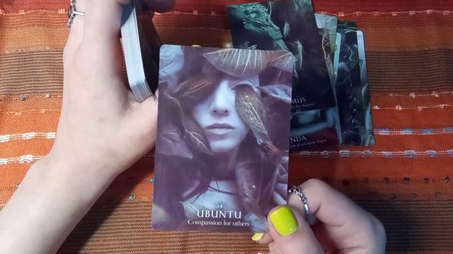 ?Magic you oracle (реплика АлиЭкспресс). Обзор колоды смотреть онлайн