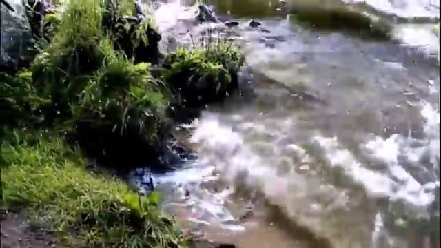 Осенние листья шумят смотреть онлайн