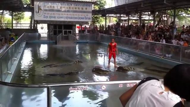 Crocodile Show Phuket ( Шоу крокодилов - Пхукет ) смотреть онлайн