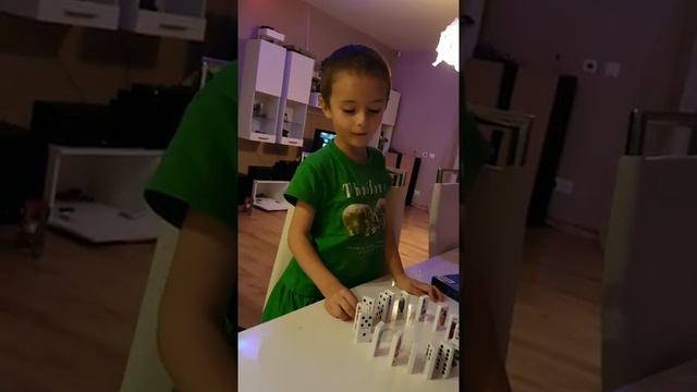 Domino.  Дино . Сыграем в домино ?