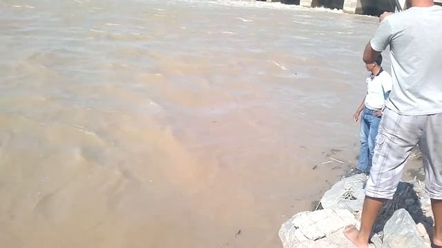 Ургенч смотреть онлайн
