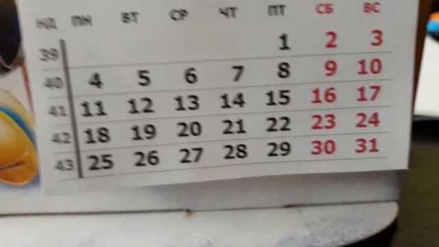 Какое сегодня число? смотреть онлайн