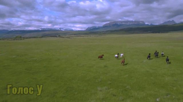 Надежда надеялась что это сон и проснувшись все закончится, но она ошибалась смотреть онлайн