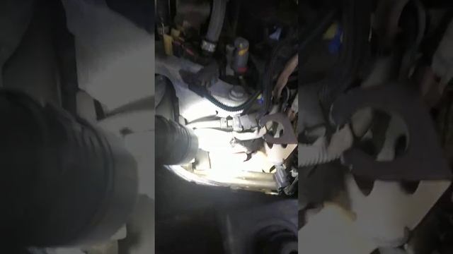 Renault Grand Scenic, Рено, Гранд Сценик расположение, где находится Vin и номера двигателя смотреть онлайн
