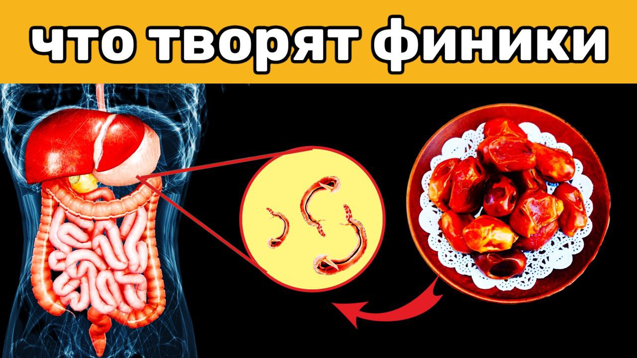 Многие едят ФИНИКИ и даже не знают о пользе и вреде Фиников! Тайна КОСТОЧКИ ФИНИКА... смотреть онлайн