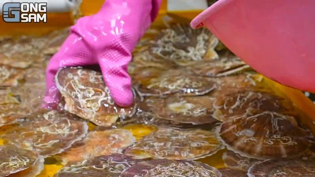 ASMR MUKBANG 해물찜 & 불닭볶음면 FIRE Noodle & Spicy Seafood & Seafood Boil EATING SOUND!