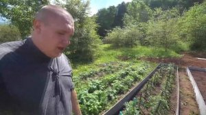 Собираем высокие грядки из плоского шифера своими руками на долгие годы