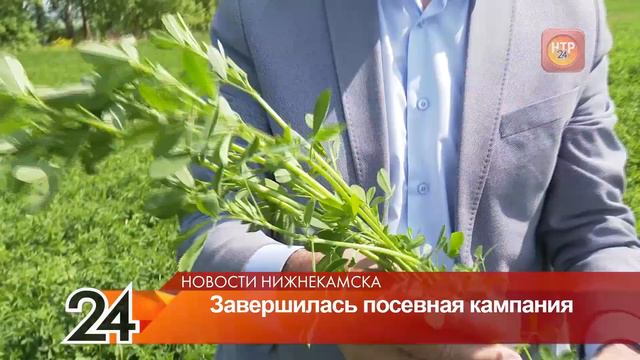 В Нижнекамском районе завершилась посевная кампания смотреть онлайн