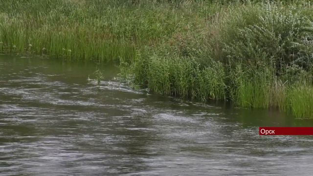 25082022 В Орске в реке Урал утонула женщина смотреть онлайн