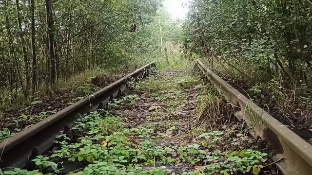Хомус Михайлова и старые рельсы смотреть онлайн
