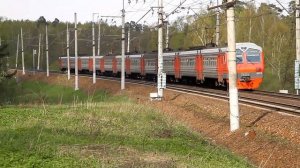 Один день Ярославского хода. Часть 3. Зеленоградская, 43-й километр.