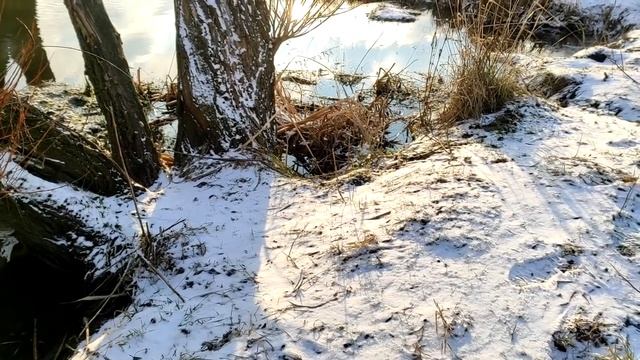 Ваша не первая жизнь на земле (4 признака). Своё прошлое воплощение можно ли вспомнить. смотреть онлайн
