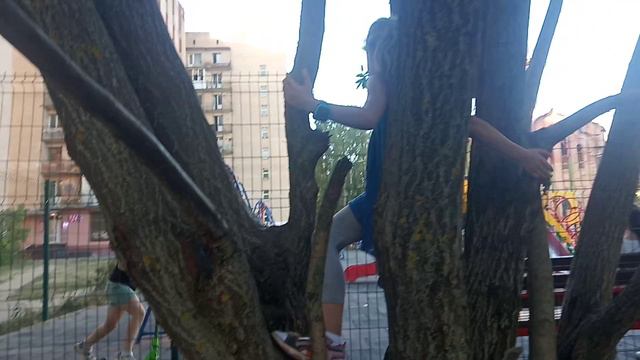 VID_20240915_175035.mp4 смотреть онлайн