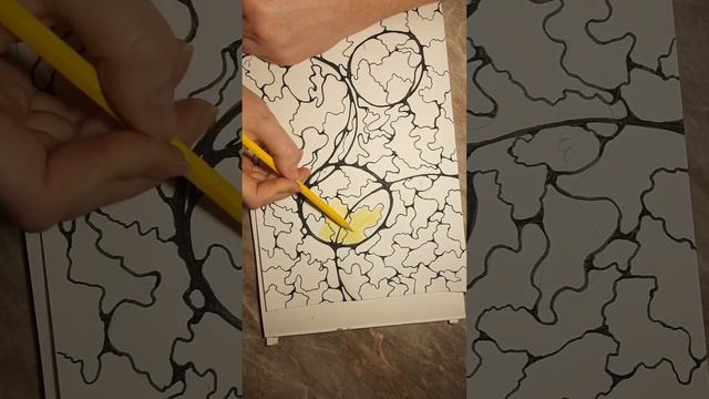 Техника для исполнения желаний "Три желания" смотреть онлайн