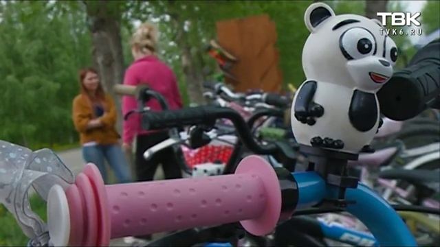 Велопрокат на острове Татышев может закрыться смотреть онлайн