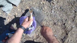 река Мундыбаш сплав июнь 21г