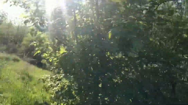 16.05.21 Донгор. Река Дон. смотреть онлайн