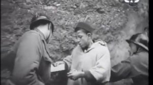 Конфликт в Алжире. 1954-1962