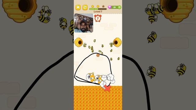 Save the dog level 7 walkthrough solution смотреть онлайн