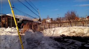 Ловля весенних реплов(коноплянок) щеглов, чижей.