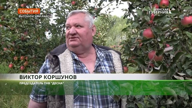 Больше двухсот сортов яблок выращивают в брянском селе Удельные Уты смотреть онлайн