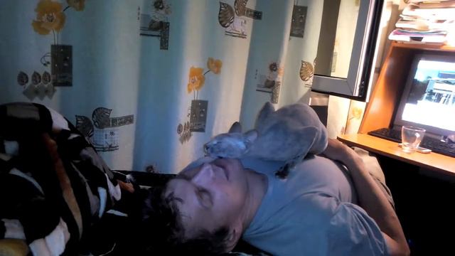 Сфинкс любит небритых смотреть онлайн