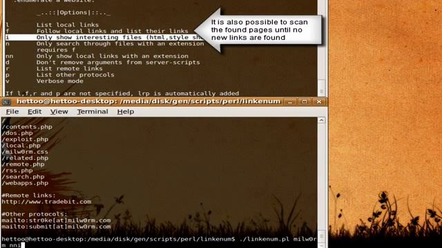 Enumerating a website смотреть онлайн